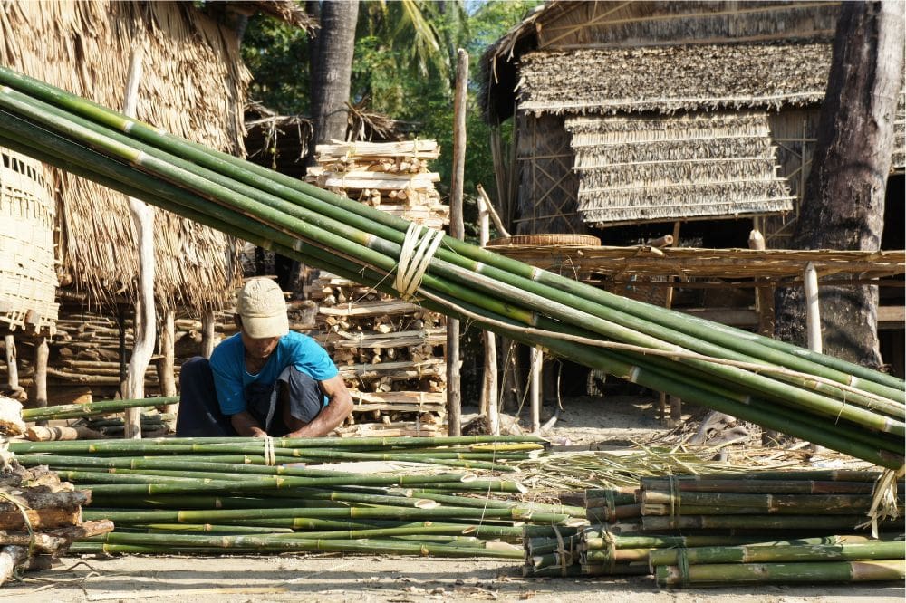 Bamboo Harvesting Techniques