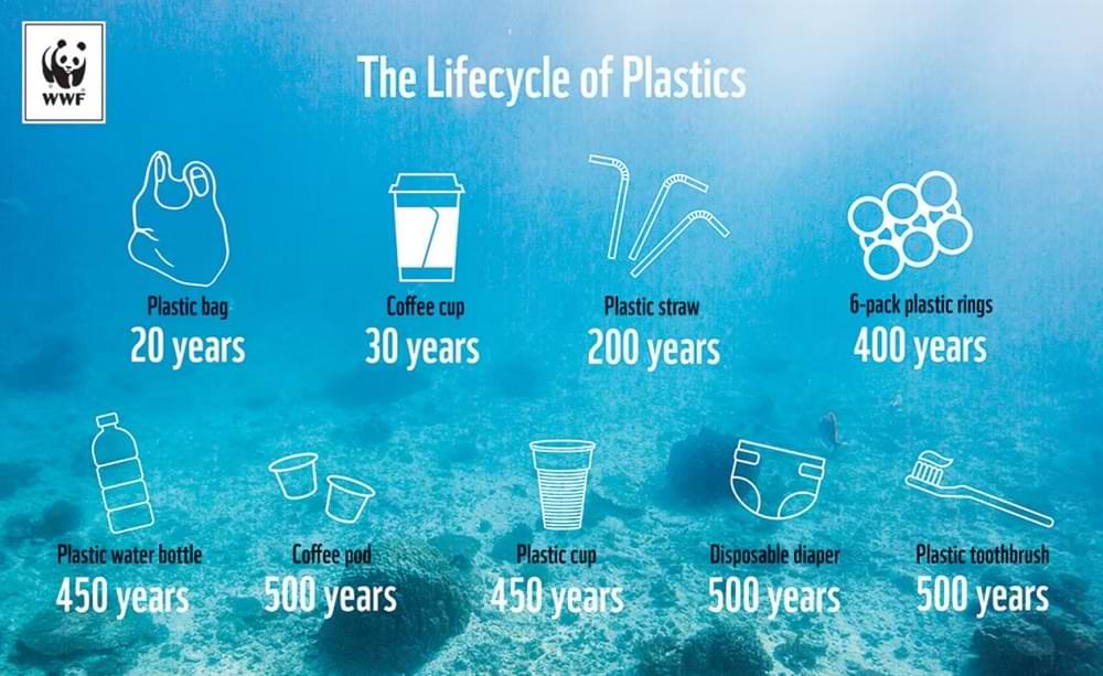 The lifecycle of plastics